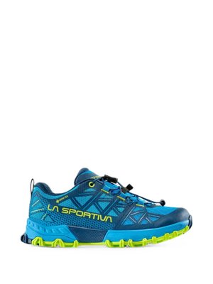 Кроссовки BUSHIDO II JR GTX с логотипом