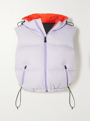 Стеганый жилет Snowbird с капюшоном из плотной ткани и наполнителем из пуха