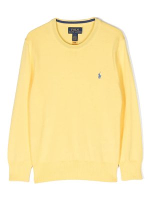 Джемпер с логотипом Polo Pony