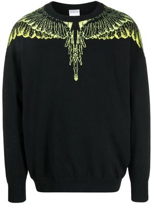 Джемпер Icon Wings
