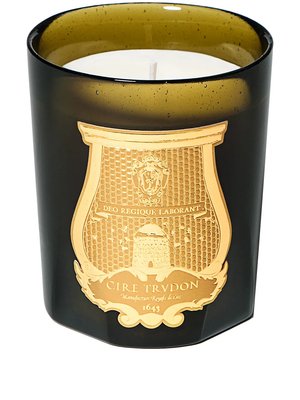 Ароматическая свеча Gabriel (270 г)