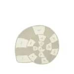 Ссылка на этот же продукт другого цвета