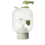 Ссылка на этот же продукт другого цвета