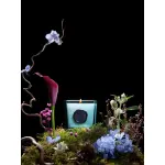 Ссылка на этот же продукт другого цвета