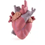 Ссылка на этот же продукт другого цвета