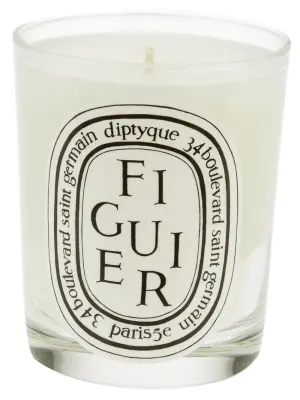 Ароматизированная свеча 'Figuier'