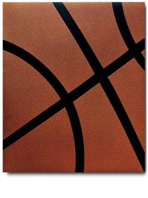 Книга Basketball: The Impossible Collection