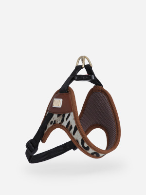 Шлейка для собаки