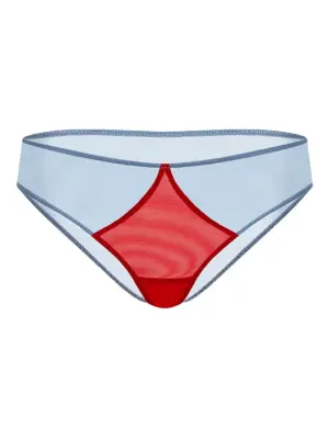 Трусы-брифы Asteria с сетчатыми вставками