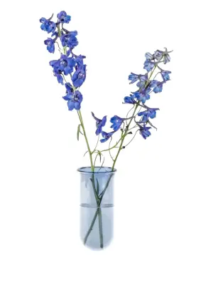 Стеклянная ваза