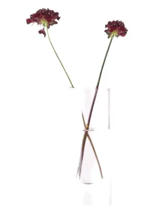 Стеклянная ваза