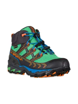 Ботинки хайкеры Ultra Raptor II Mid GTX