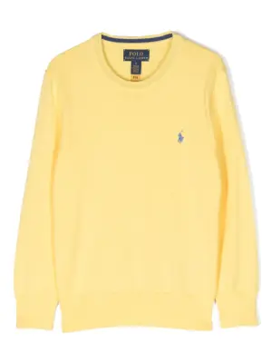 Джемпер с логотипом Polo Pony