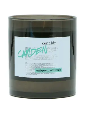 ароматическая свеча Camden (300 г)