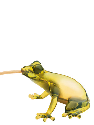 лампа «Голодная лягушка»