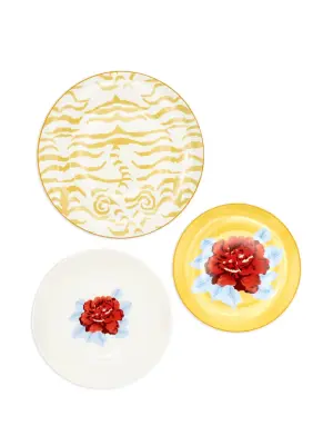 Indian Tiger plate set