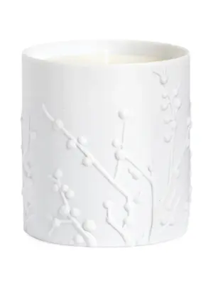 Свеча Beausoleil из коллаборации с Ruan Hoffmann (400 г)